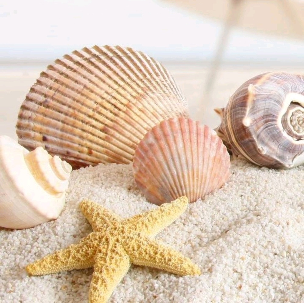 Meet your Posher, Nicki